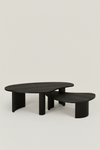 ALAIN NATURAL OAK COFFEE TABLE IN BLACK