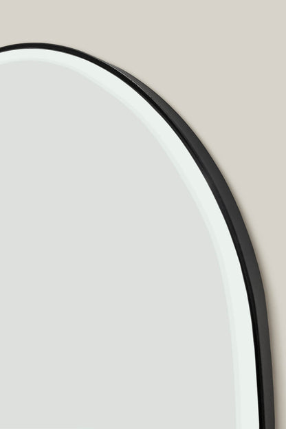 IRREGULARLY SHAPED MIRROR